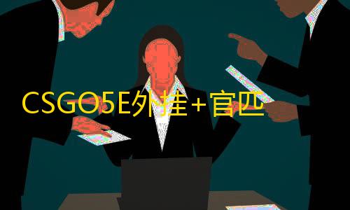 CSGO5E外挂+官匹【永恒/透饰/梓喵/仅支持5E和官匹平台】辅助